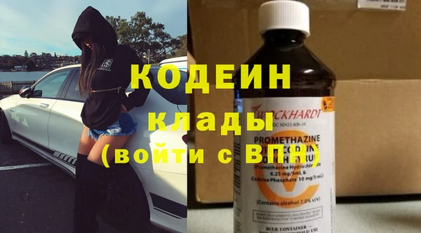 хмурый Алексин