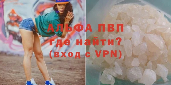 хмурый Алексин
