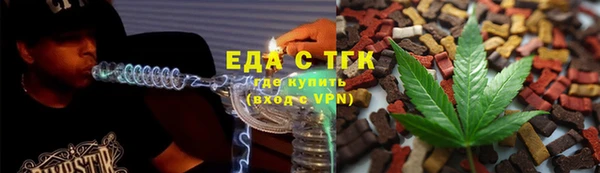 хмурый Алексин