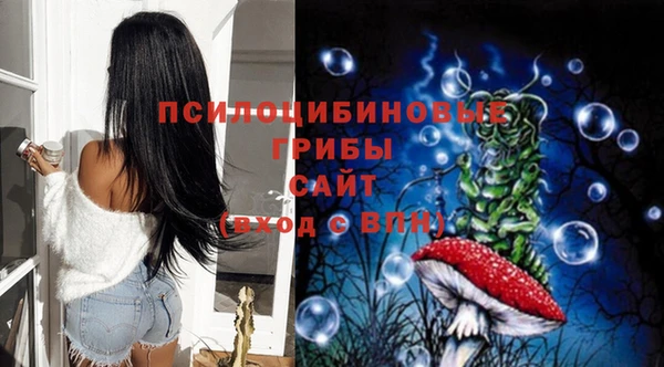 PSILOCYBIN Алексеевка