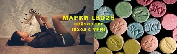 PSILOCYBIN Алексеевка