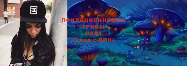 хмурый Алексин