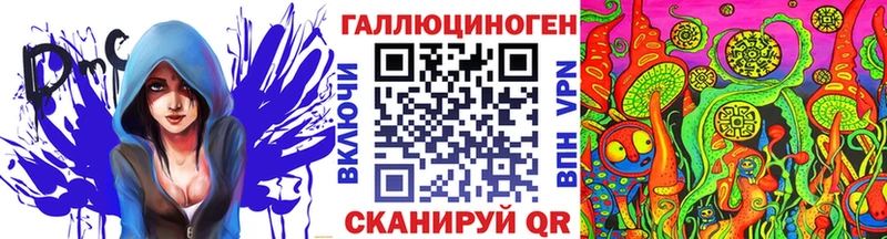 закладки  ОМГ ОМГ как войти  Галлюциногенные грибы Psilocybe  Бердск 